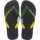 HAVAIANAS CAEN 
