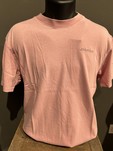 T-shirt plentywood DICKIES CAEN