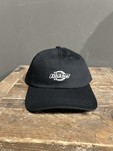 Casquette essential dad DICKIES MONDEVILLE