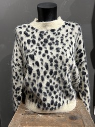 Pull lopard FREEMAN CAEN